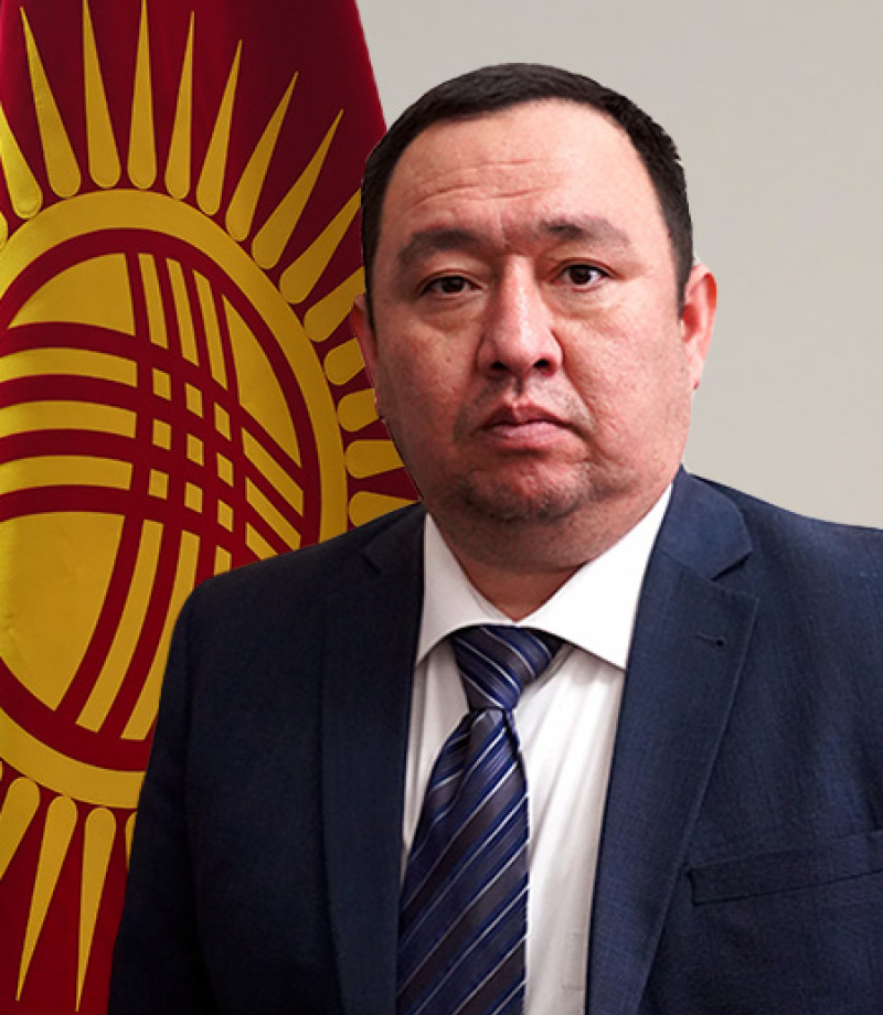 Ченемдик укуктук камсыздоо башкармалыктын жетекчиси