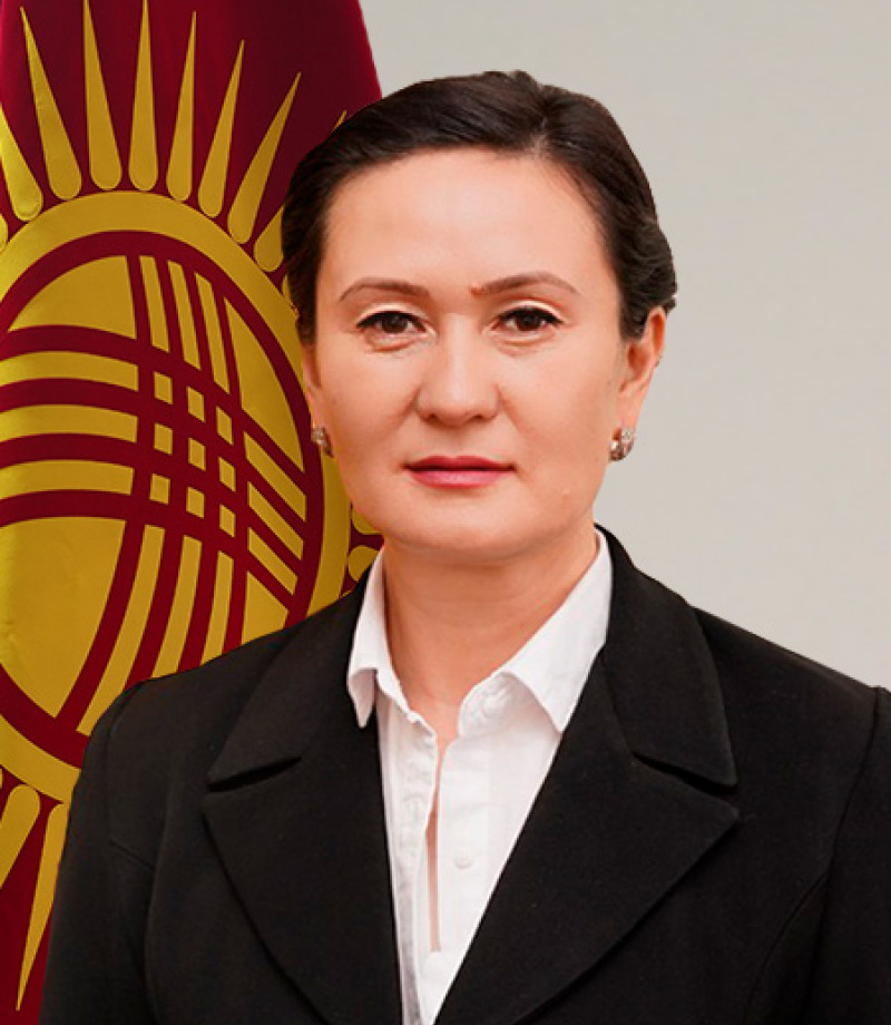 Документтер менен камсыздоо бөлүмүнүн жетекчиси