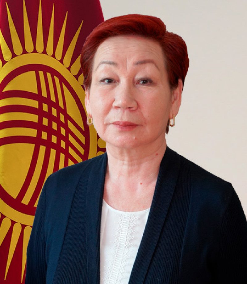 Эксперттик, уруксат берүүчү, лицензиялык документтер башкармалыктын жетекчиси