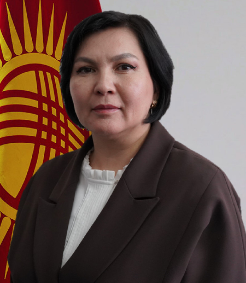 Раимкулова Асель Кадыржановна