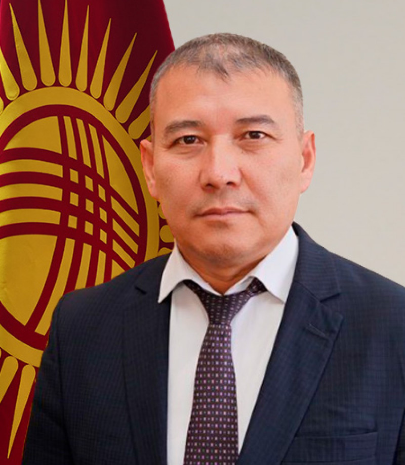 Жер ресурстары бөлүмдүн башчысы