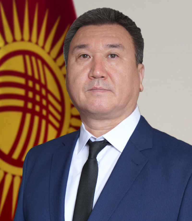 Мамлекеттик экологиялык экспертиза башкармалыктын жетекчиси