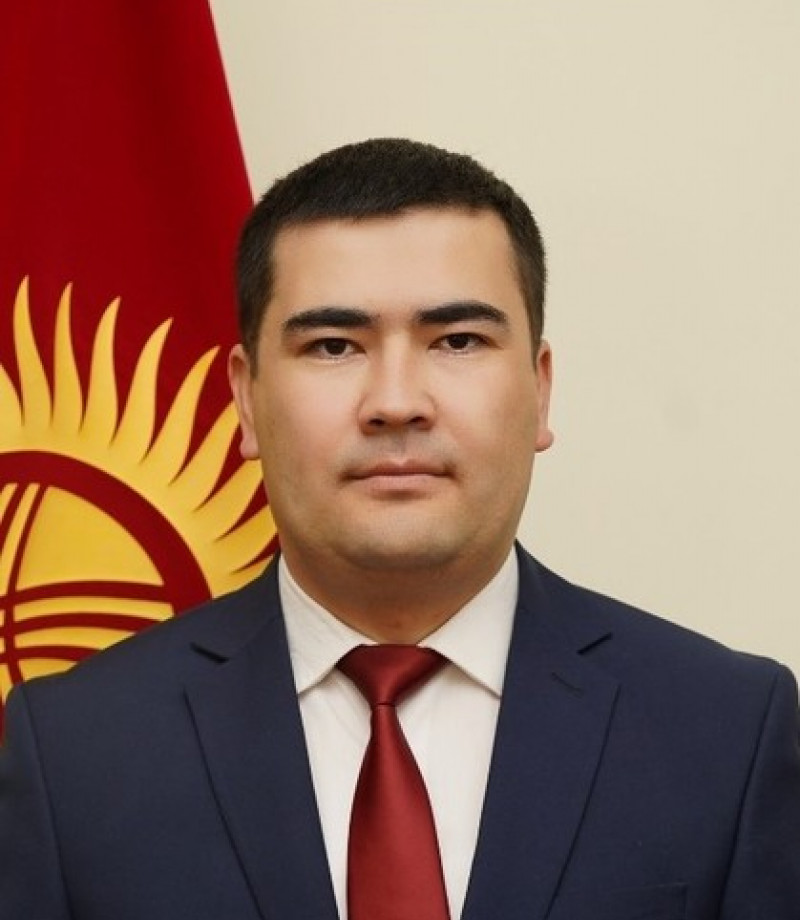 Жер казынасын пайдалануу саясаты бөлүмдүн башчысы