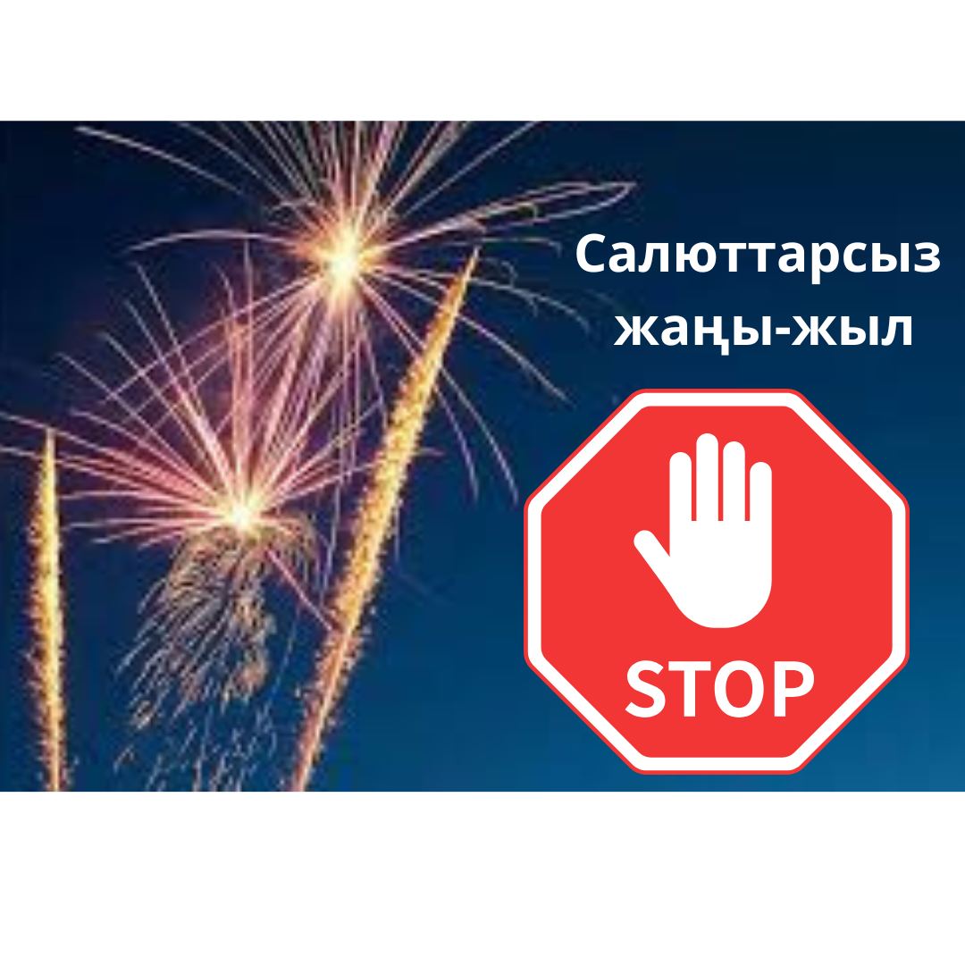 Министерство природных ресурсов, экологии и технического надзора Кыргызской Республики призывает не запускать по всей стране новогодние салюты и не использовать пиротехнические средства.
