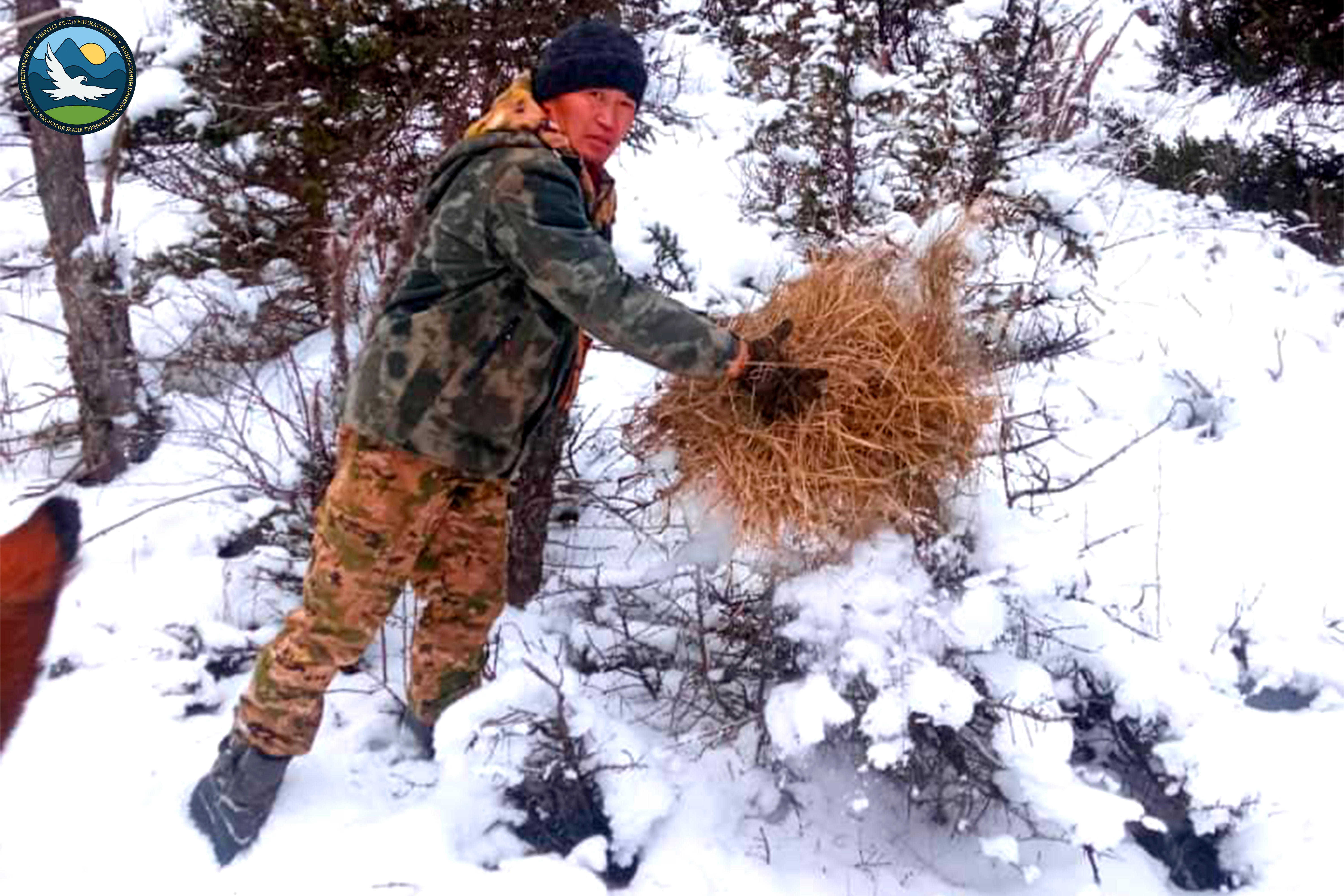 Труд егерей и охотоведов на территории заповедников Саймалуу-Таш и Каратал-Жапырык имеет важное значение для сохранения экосистем этих природных объектов