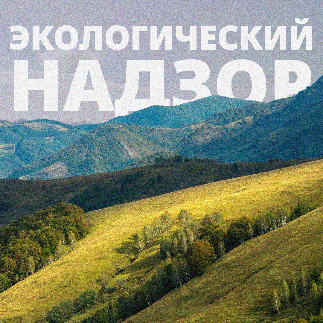 Регионалдык башкармалыктын ишмердиги