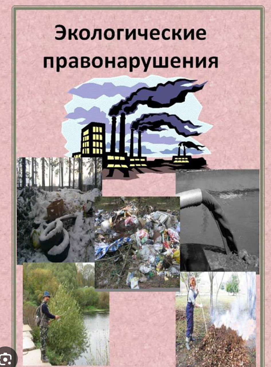 Минприроды: По всей стране  за майские праздники  выявлено 61 экологическое нарушение