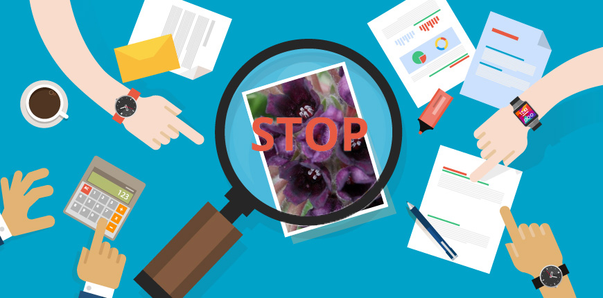 В Кыргызстане введён мораторий на сбор диких растений