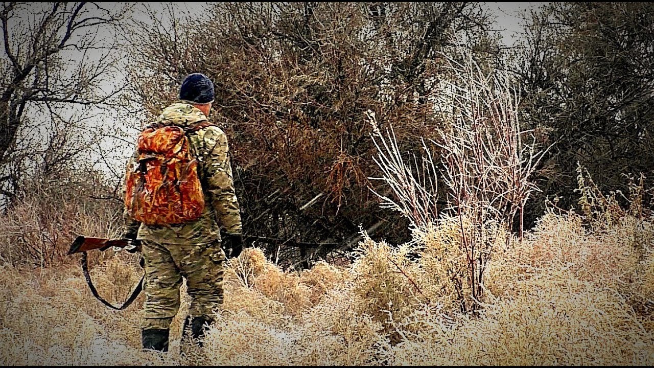 Конкурса на предоставление юридическим лицам права ведения охотхозяйственной деятельности