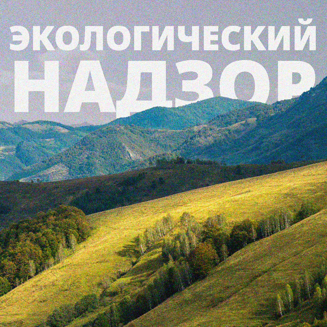 В Иссык-Кульской области выявлены нарушения экологического законодательства со стороны пансионатов и граждан