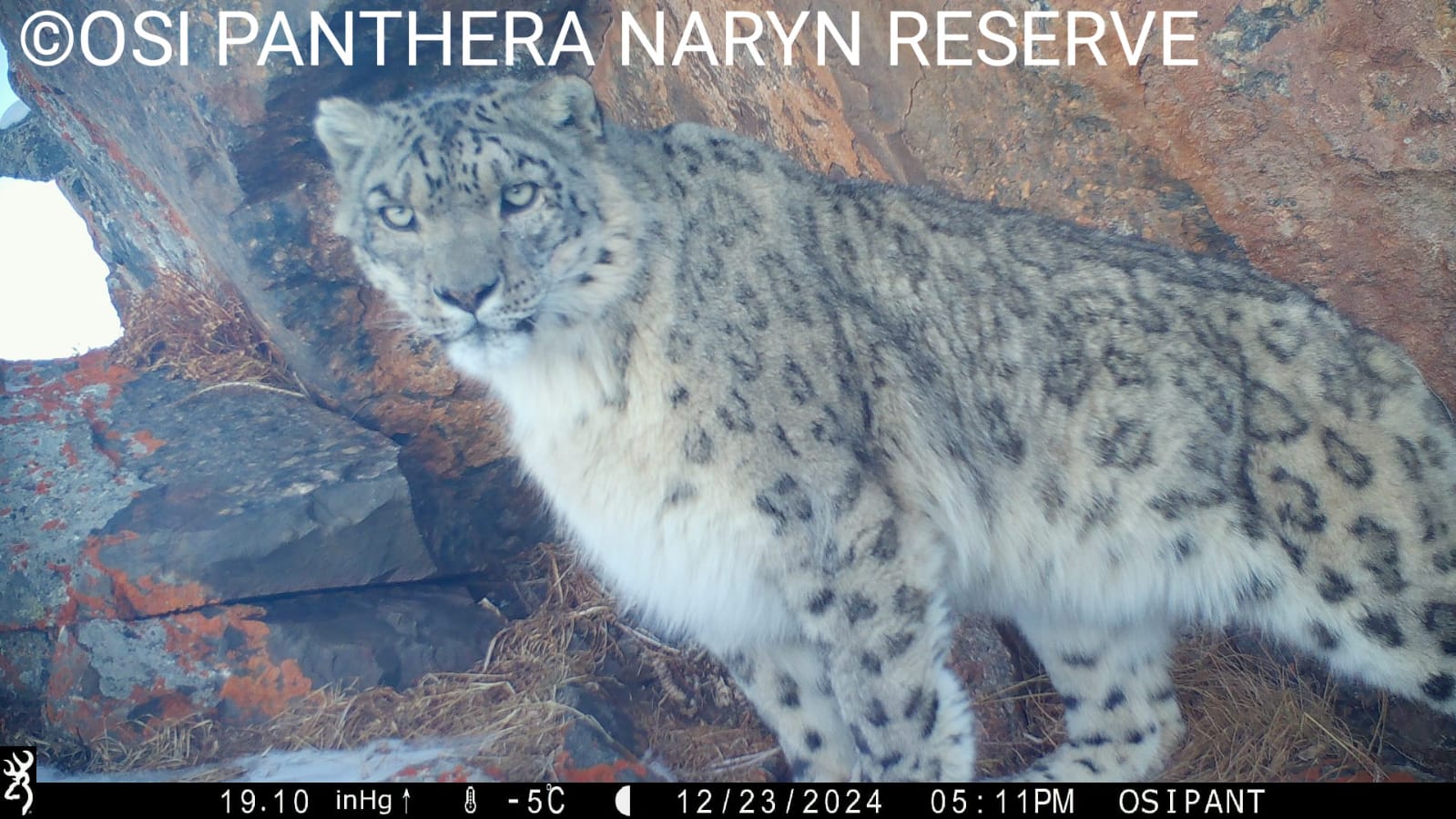 В Нарынском государственном природном заповеднике прошла 10-дневная эковолонтёрская экспедиция