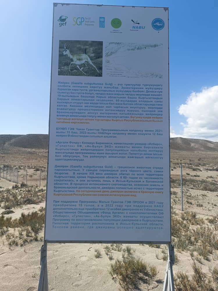 Жейрены выпущены в дикую природу