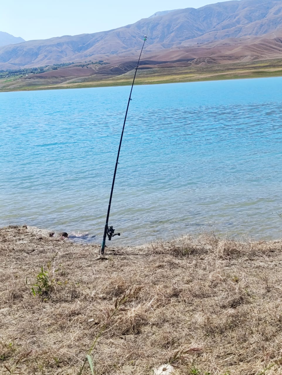 В Чаткальском и Токтогульском районах выявлены случаи незаконного вылова рыбы