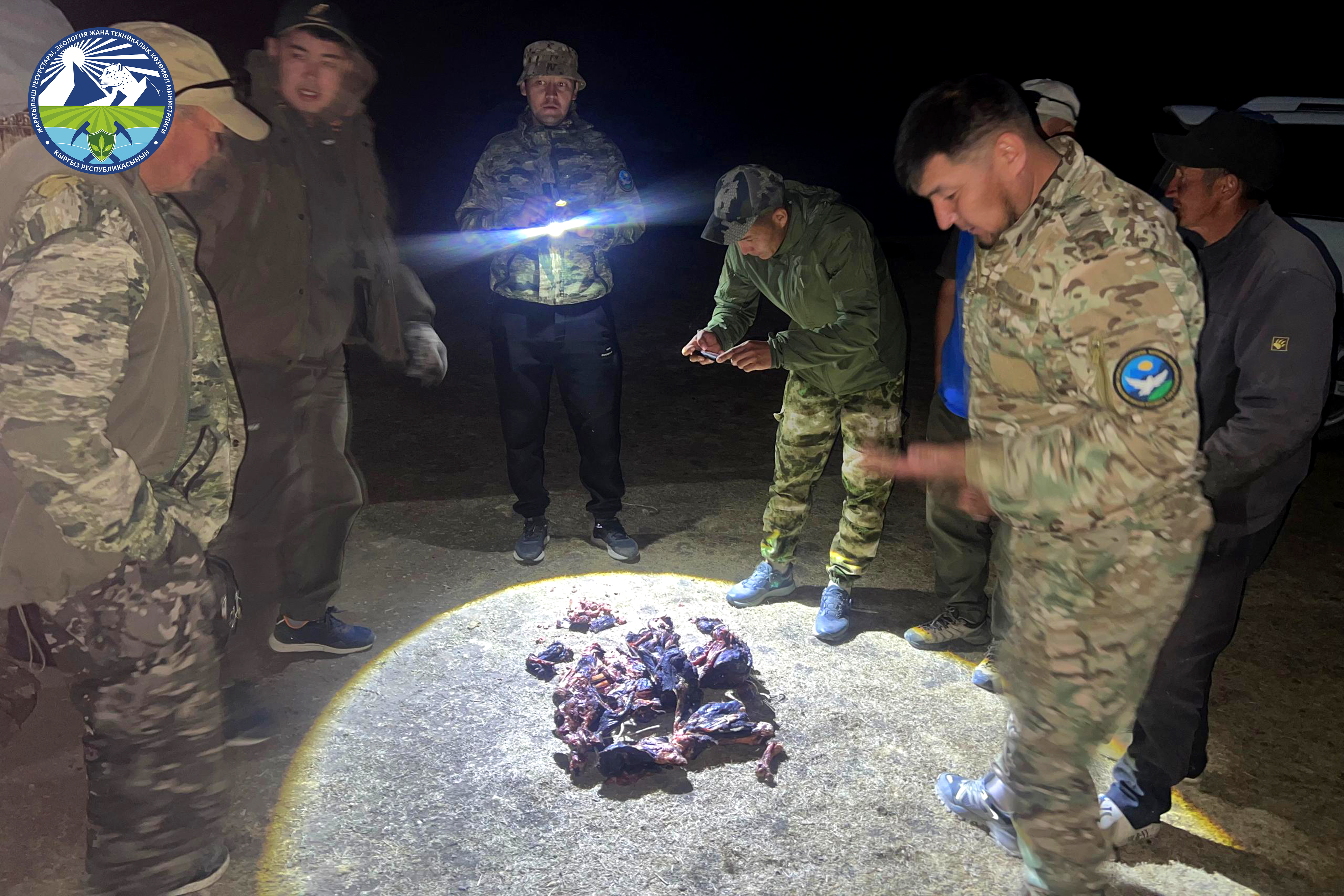 В Нарынской области выявлены факты незаконной охоты и заготовки растений