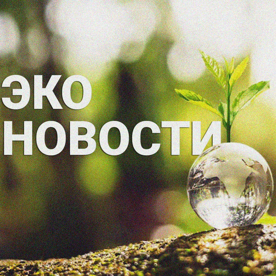 Превратить поезда в гигантские аккумуляторы предлагает американский стартап SunTrain