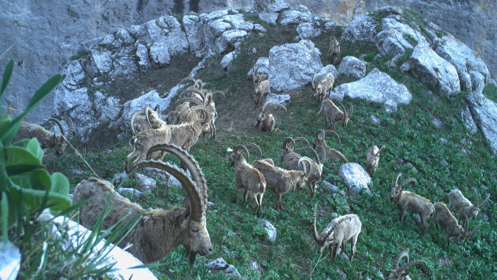 “Кан-Ачуу” мамлекеттик жаратылыш паркы