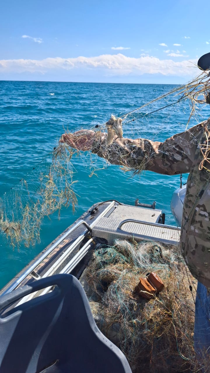В Иссык-Кульской области продолжаются рейдовые мероприятия по борьбе с браконьерством