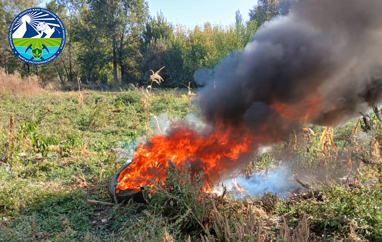 🍃Жалбырактарды жана тиричилик калдыктарын өрттөөгө жол берилбейт
