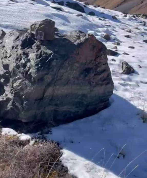 В фотоловушки в Чон-Кеминском государственном природном парке попали 3 снежных барса и другие дикие животные