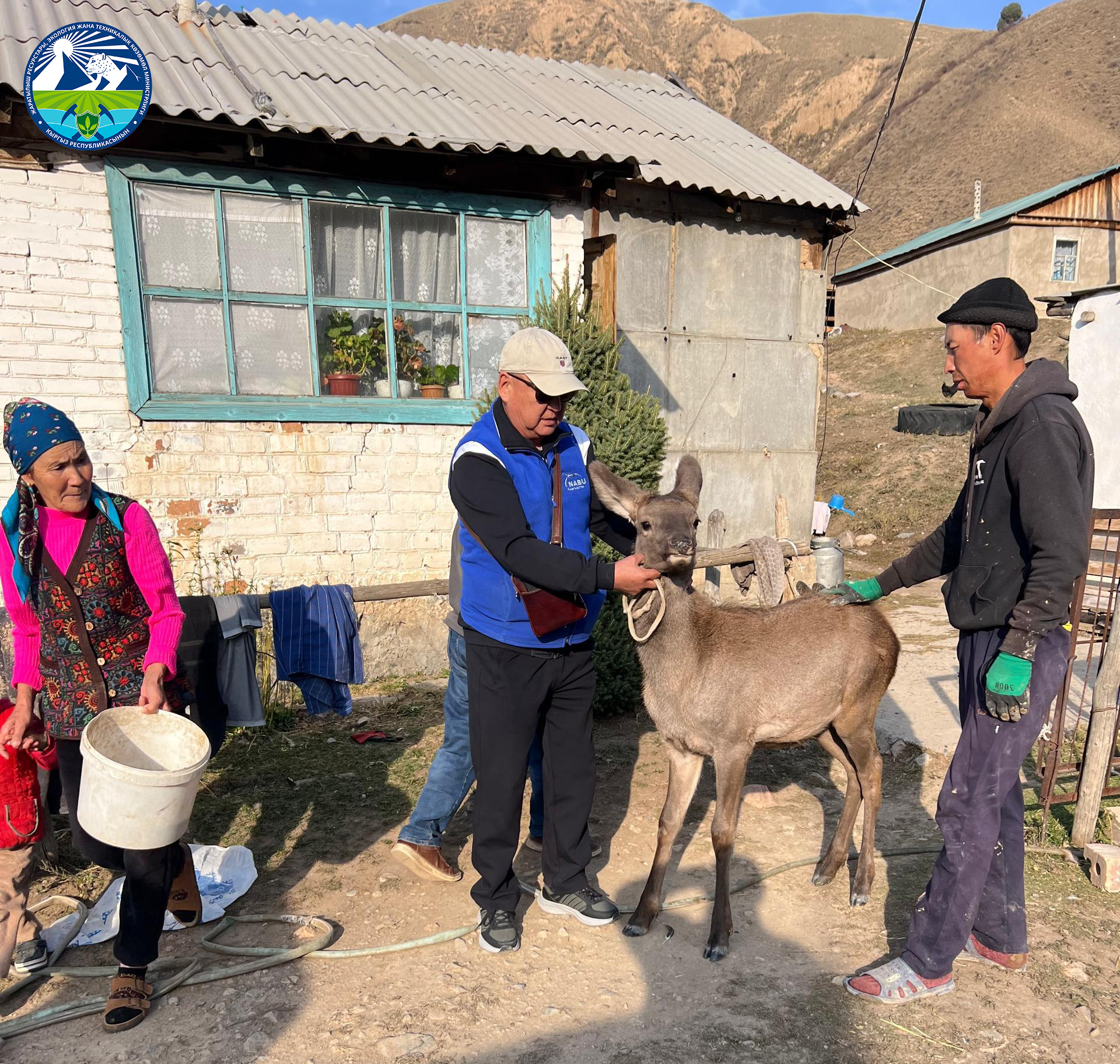 Кызыл китепке кирген бугу марал музоосунун куткарылышы