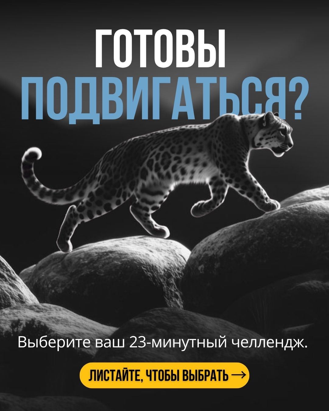 🐆 Друзья, важная новость!