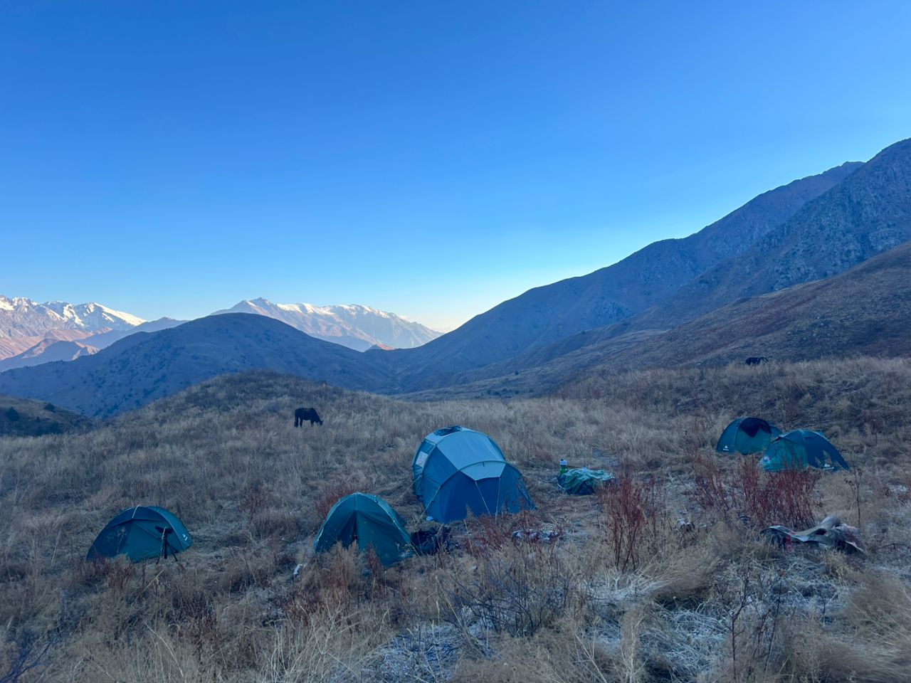 Французские любители природы сфотографировали диких животных в Государственном природном парке «Беш-Арал».