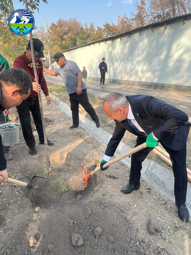 В рамках национальной кампании «Жашыл мурас» на территории школы высажены саженцы