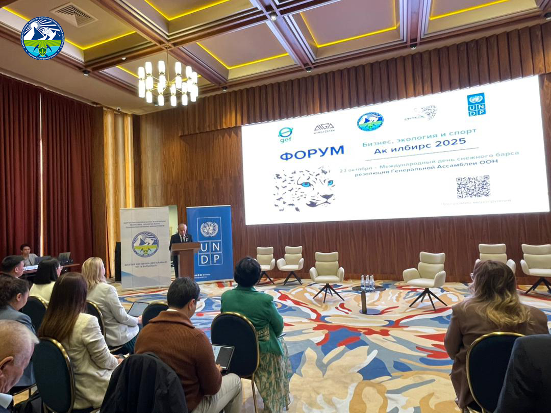 Стартовал Международный форум «Бизнес, экология и спорт — Ак-Илбирс 2025», объединяющий партнёров ради сохранения снежного барса