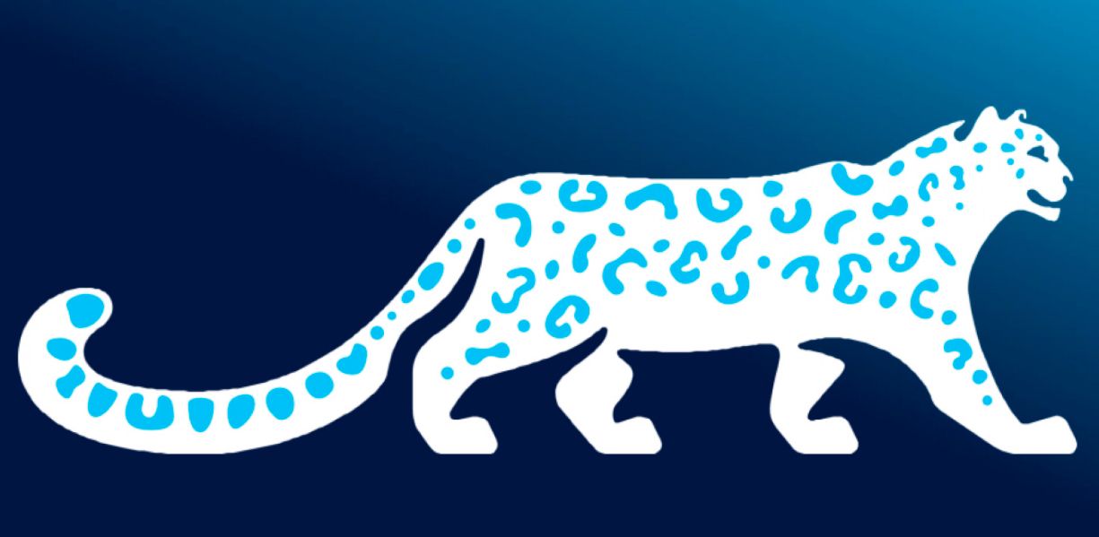 Кабинет Министров утвердил логотип и порядок использования национального символа страны - снежного барса