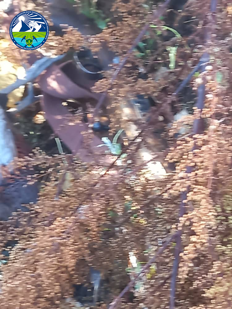 Рейдовые мероприятия