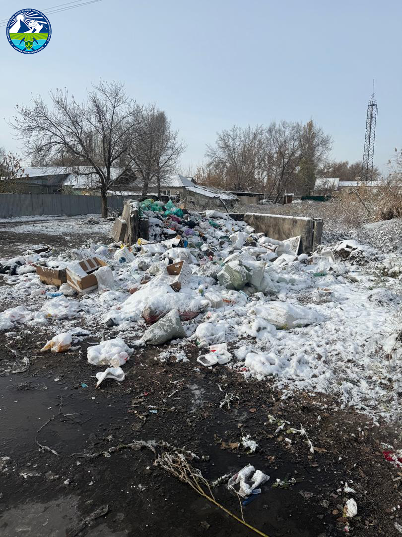 В Новопокровке выявлена стихийная свалка бытовых отходов