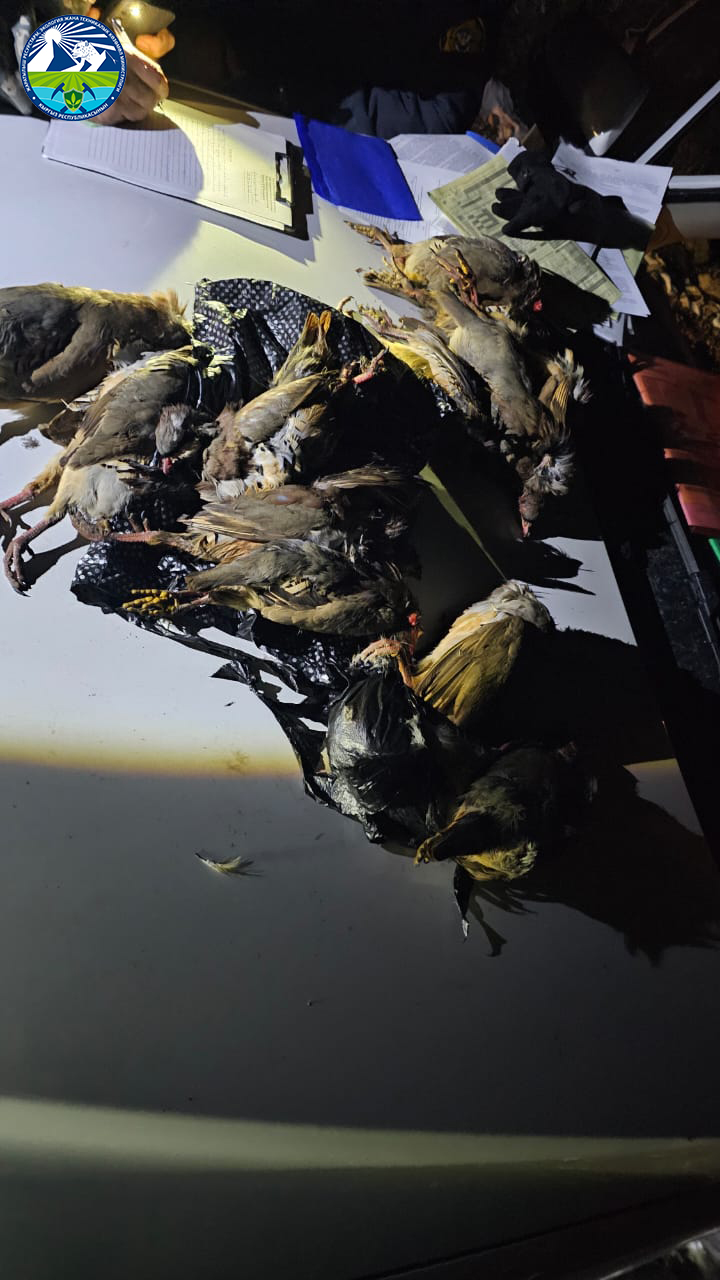 Приняты меры в отношении граждан, нарушивших правила охоты и нанесших вред окружающей среде