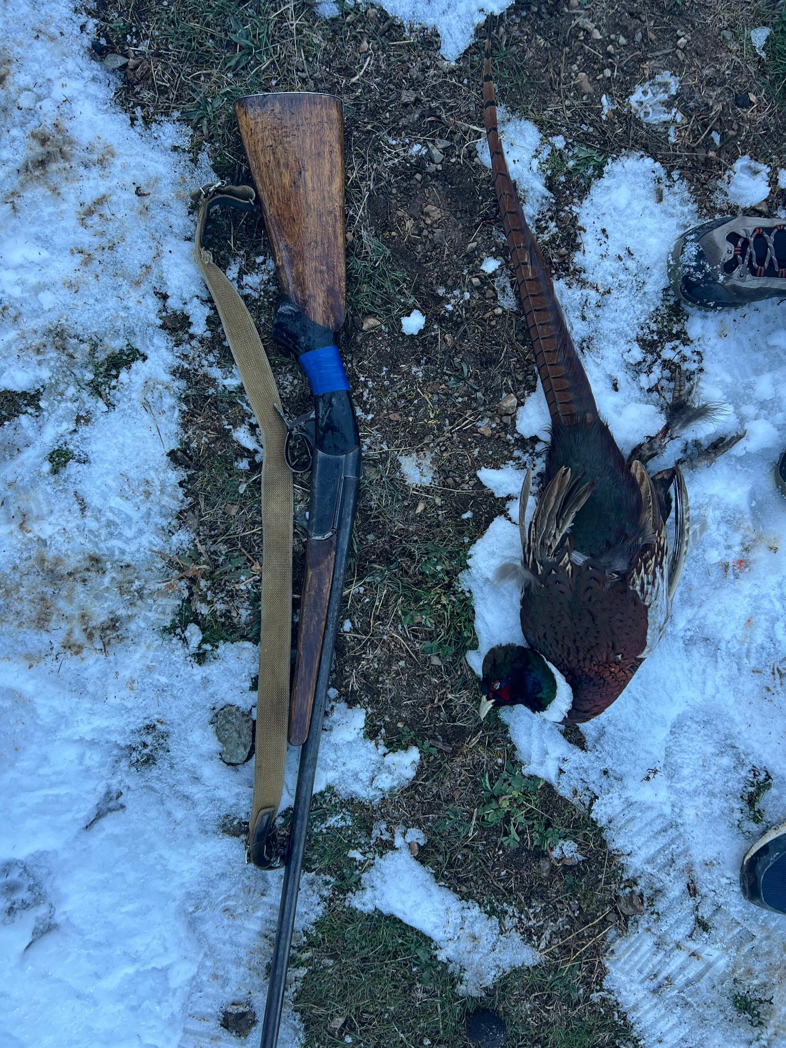 Совместные действия по защите природы — против браконьерства