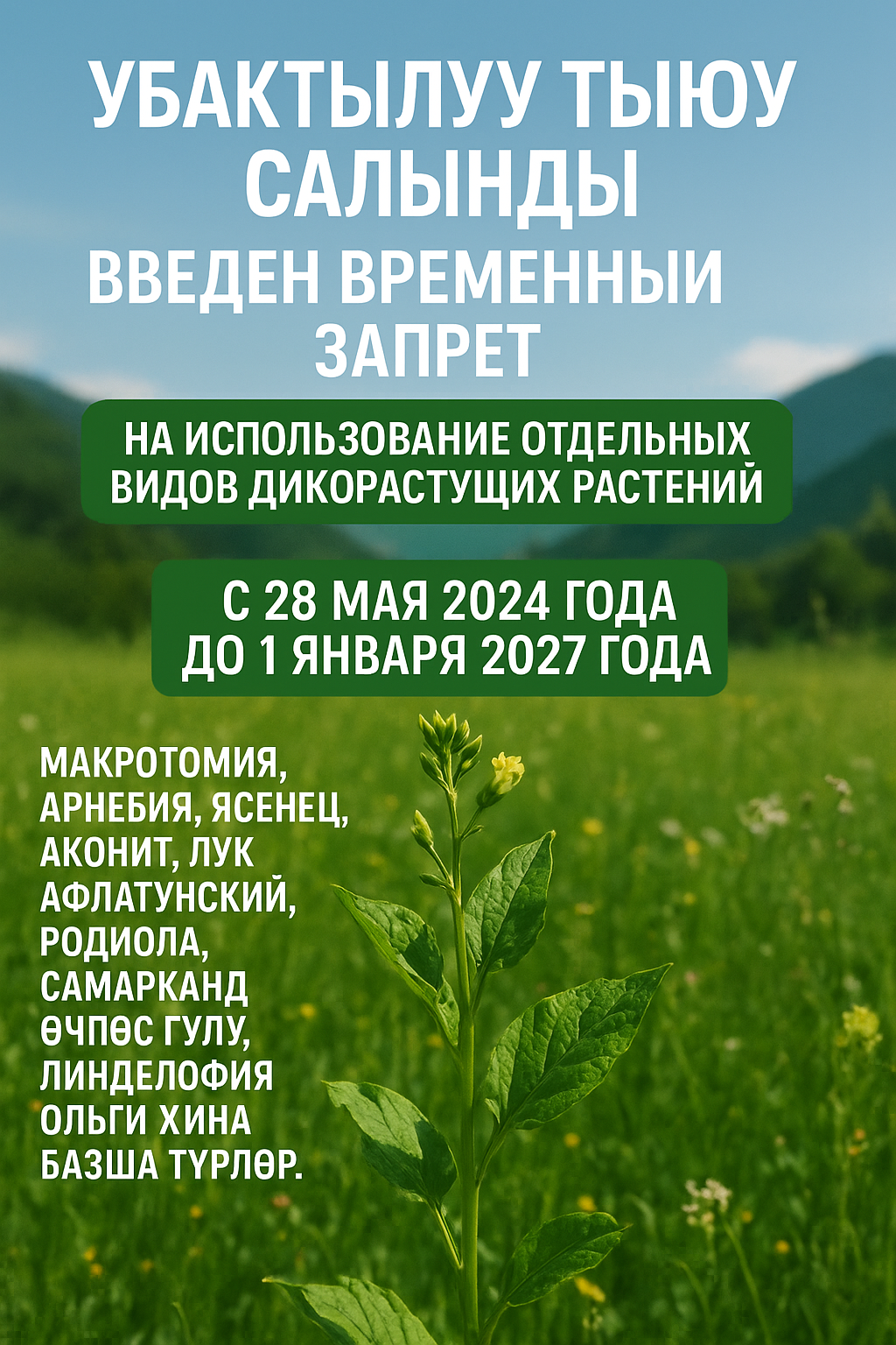 Временный запрет на сбор и использование отдельных видов растений