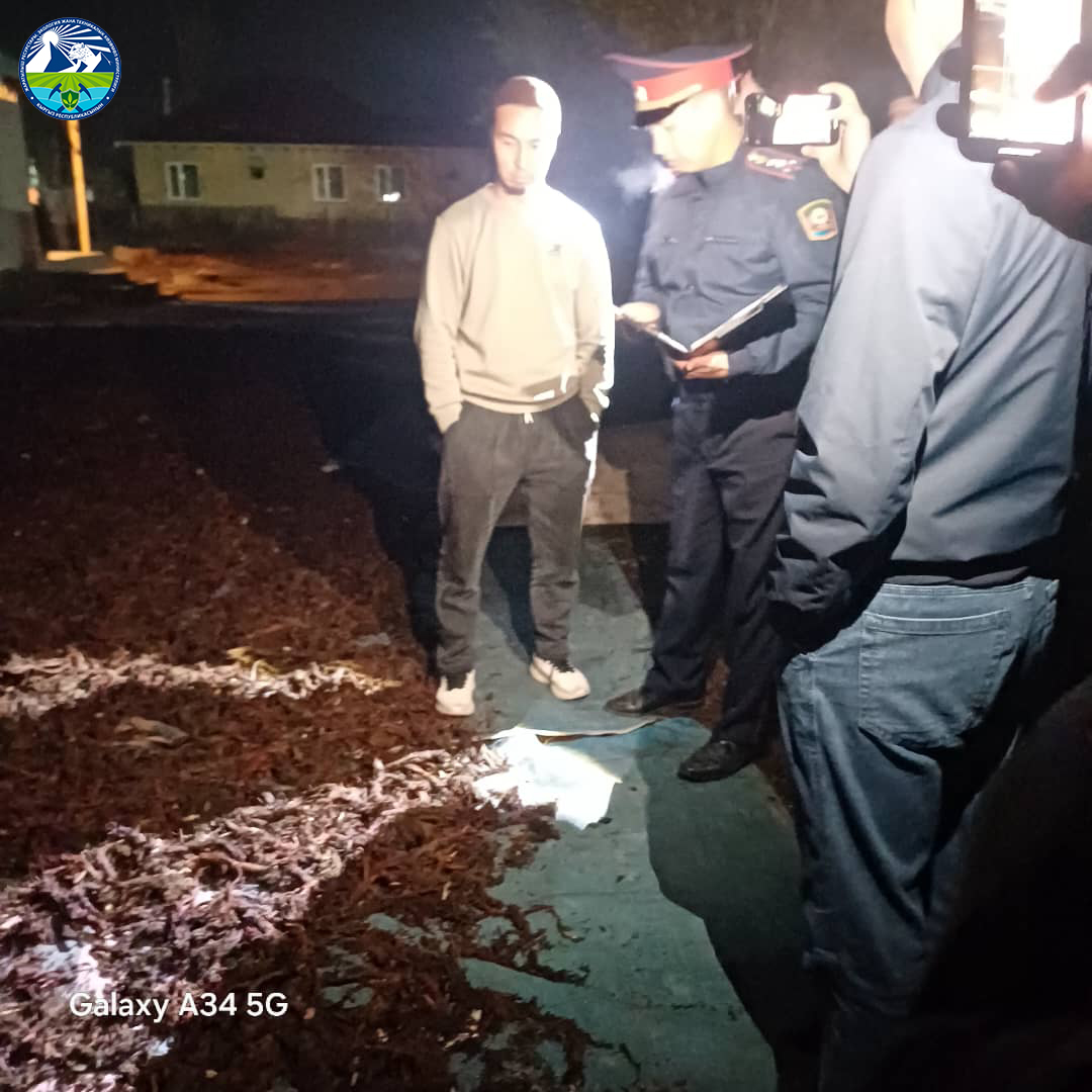 В Сокулукском районе выявлено незаконное хранение корней эндик (макротомии), попадающих под мораторий