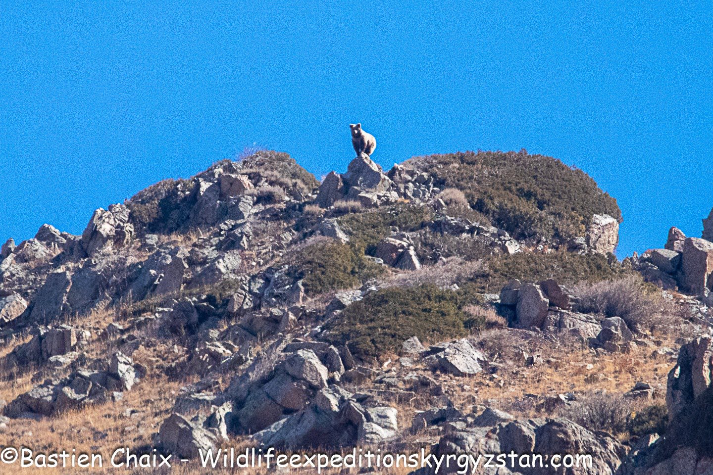 Государственный природный заповедник «Беш-Арал»