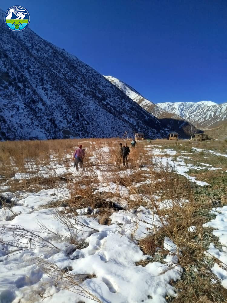 В государственном природном парке “Саймалуу-Таш” проведено мероприятие по высадке саженцев в рамках национальной программы “Жашыл Мурас”