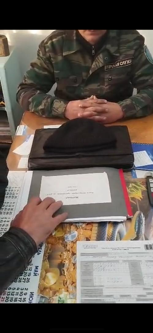 Рейд в Чуйской области