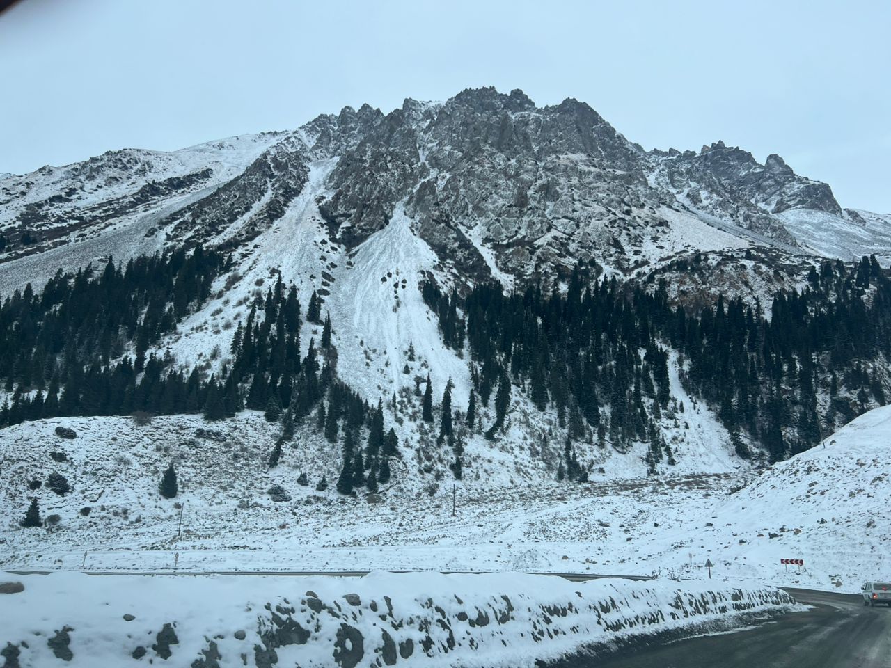 Независимый мониторинг диких копытных животных (архар, козерог)