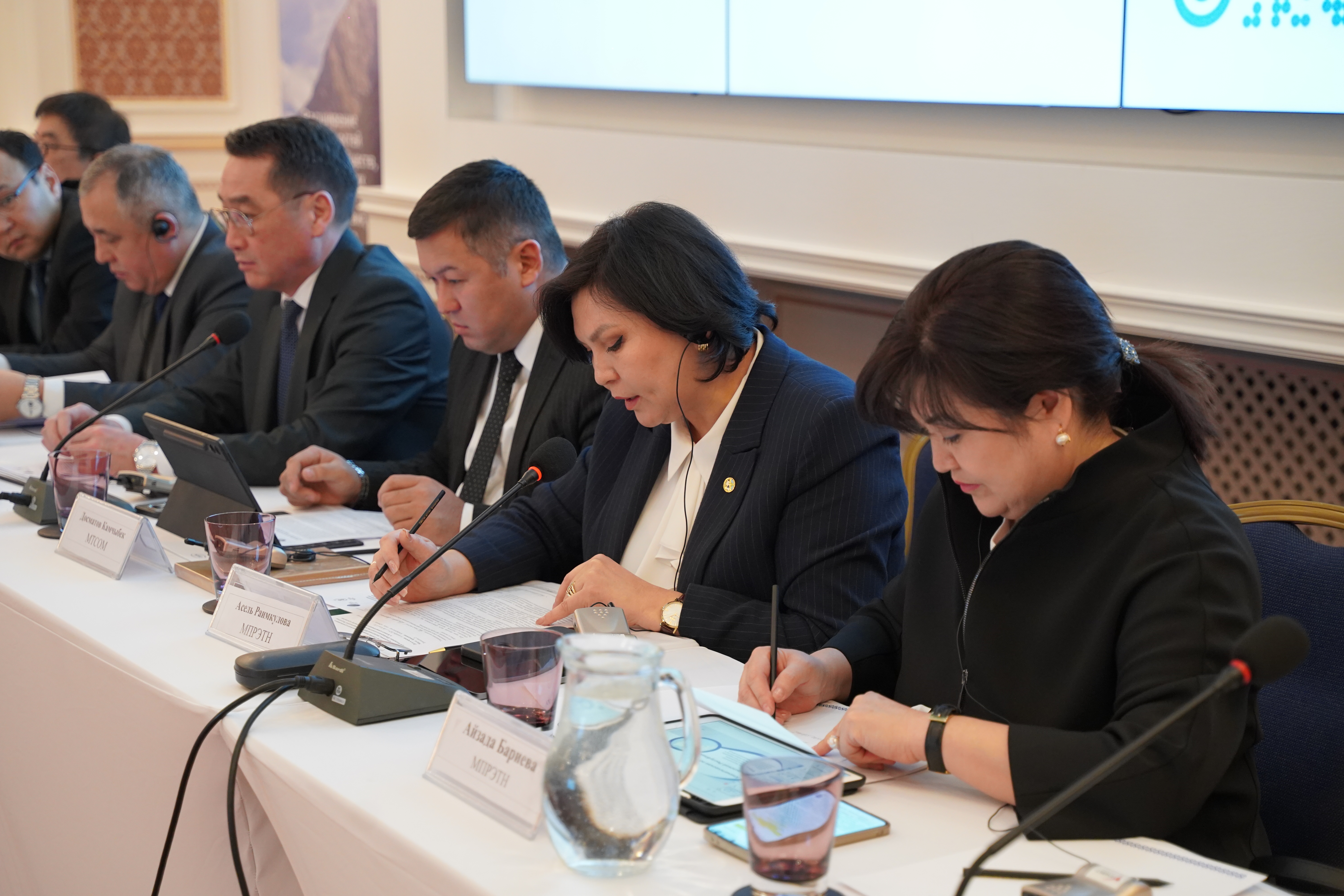 Седьмое заседание Национального руководящего комитета программы ВПП ООН прошло в Бишкеке