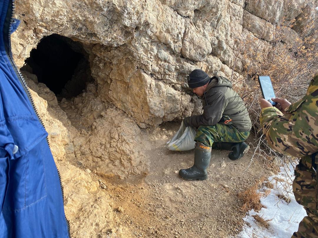 Уход за дикими животными в зимний период