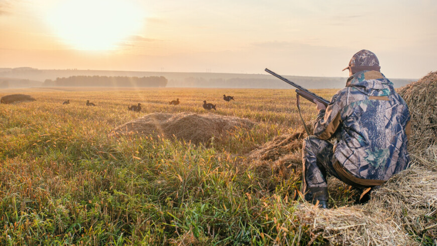 Кулактандыруу