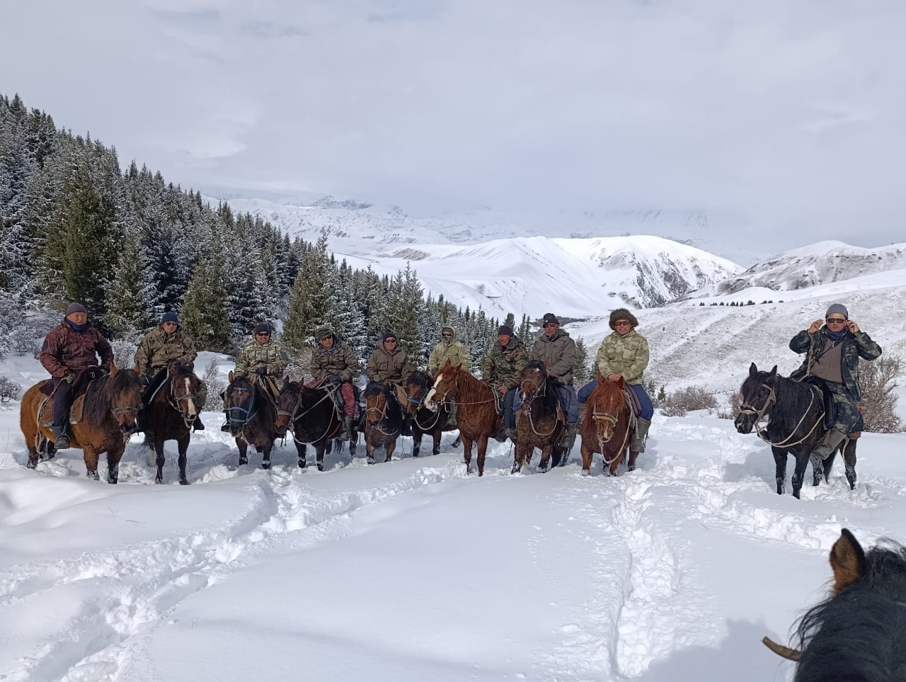 На территории Нарынского государственного природного заповедника, при Министерстве природных ресурсов, экологии и технического надзора Кыргызской Республики, на регулярной основе проводятся рейдовые мероприятия, направленные на пресечение незаконной охоты и незаконного использования природных ресурсов.