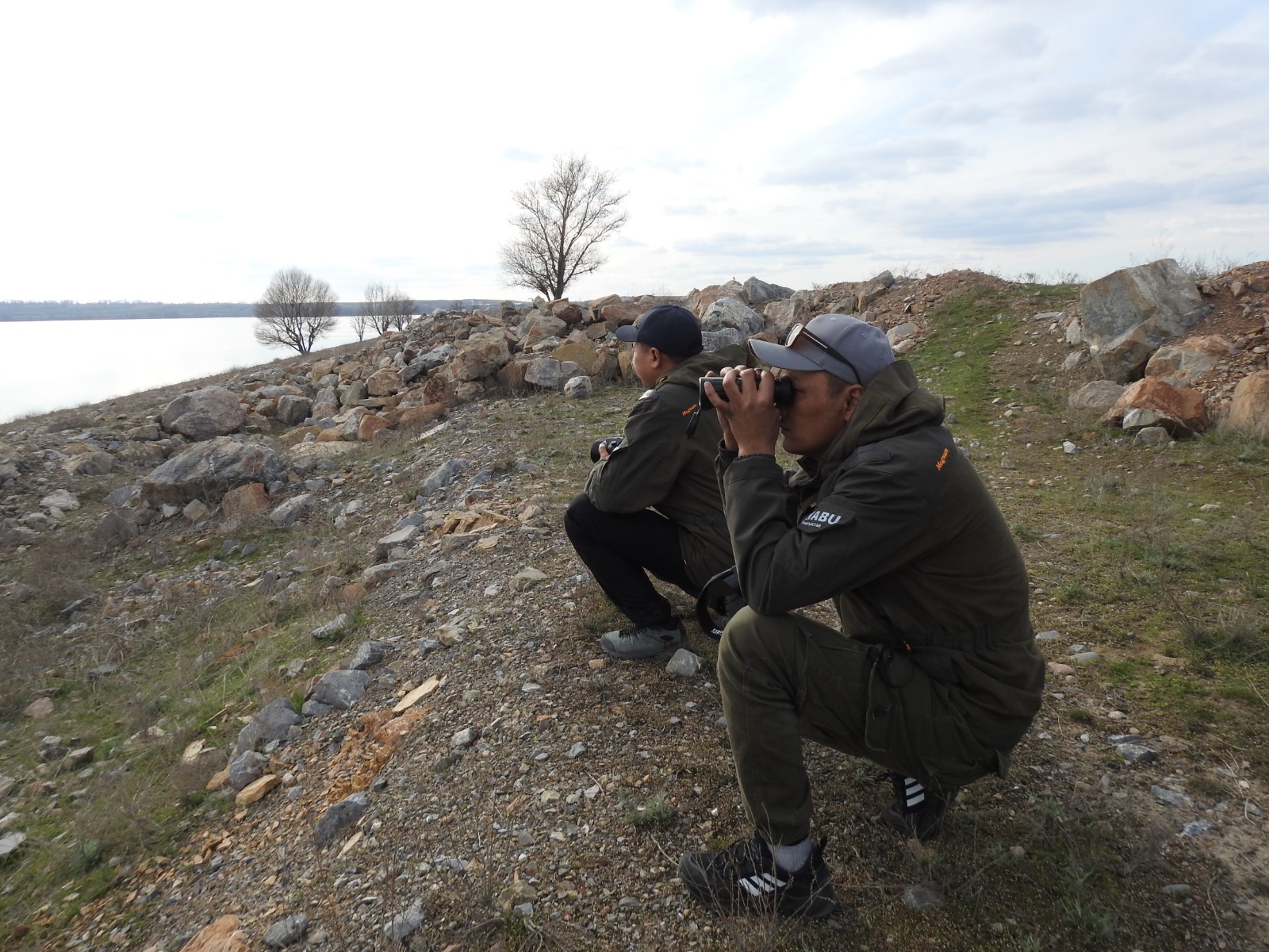 Проведена проверка по информации о гибели орлана-белохвоста