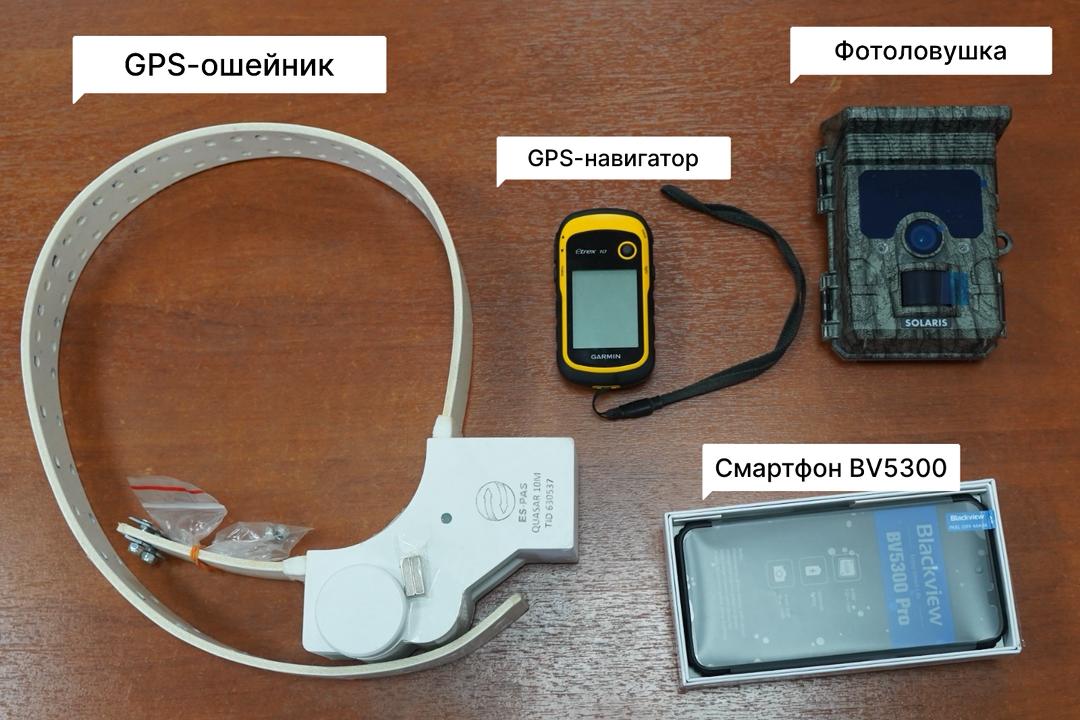 Жаратылыш сакчылыгындагы технологиялар: Жаратылыш ресурстар министрлиги жапайы дүйнөнү кантип изилдейт