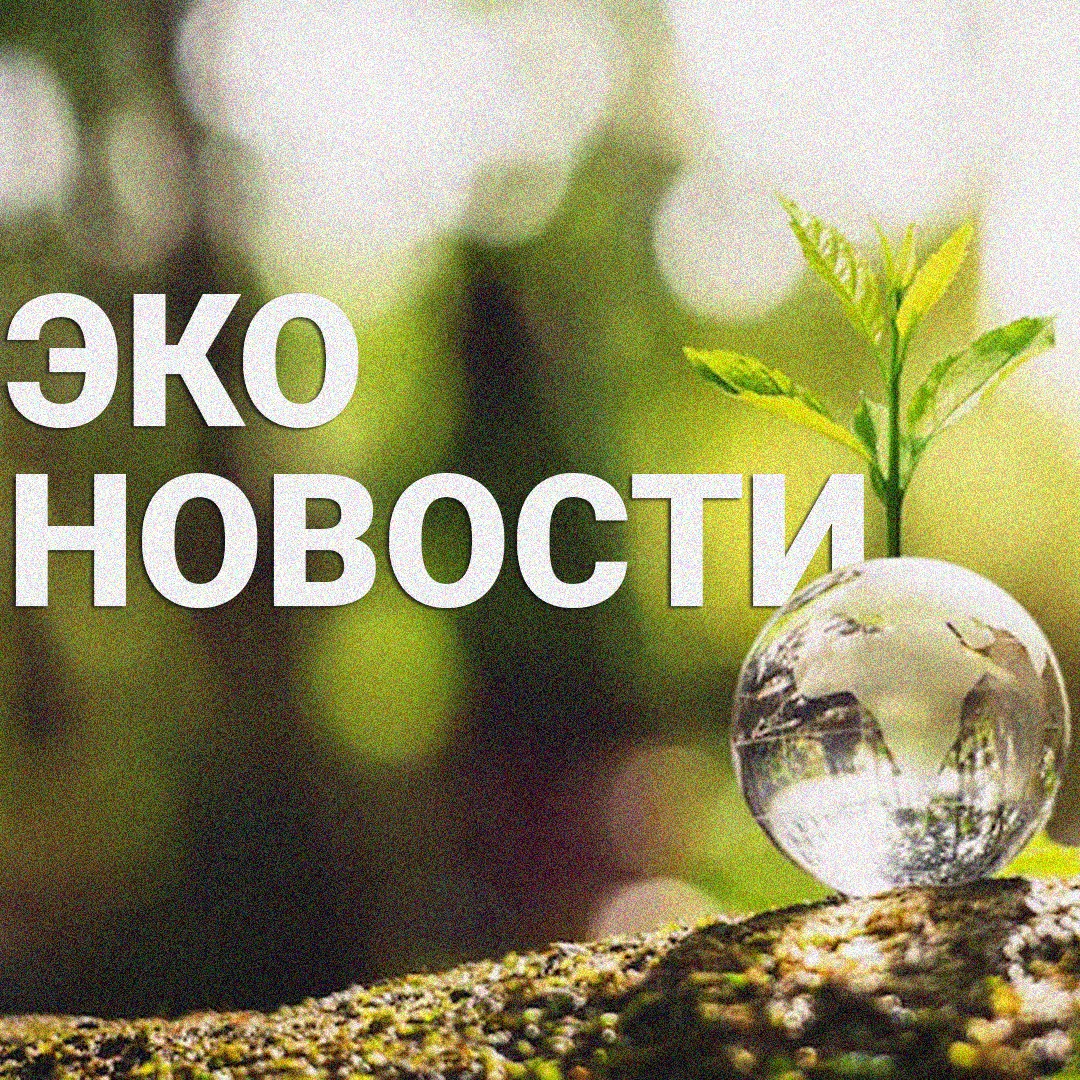 Эко-жаңылыктар