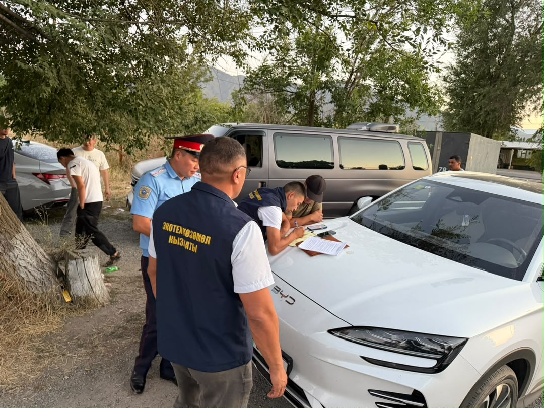 Региональное управление по городу Бишкек и Аламудунскому району Службы экологического и технического надзора при Министерстве природных ресурсов совместно с Отделом по обеспечению безопасности дорожного движения Аламудунского РОВД провело очередное рейдовое мероприятие на пастбищах вблизи села Беш-Кунгей