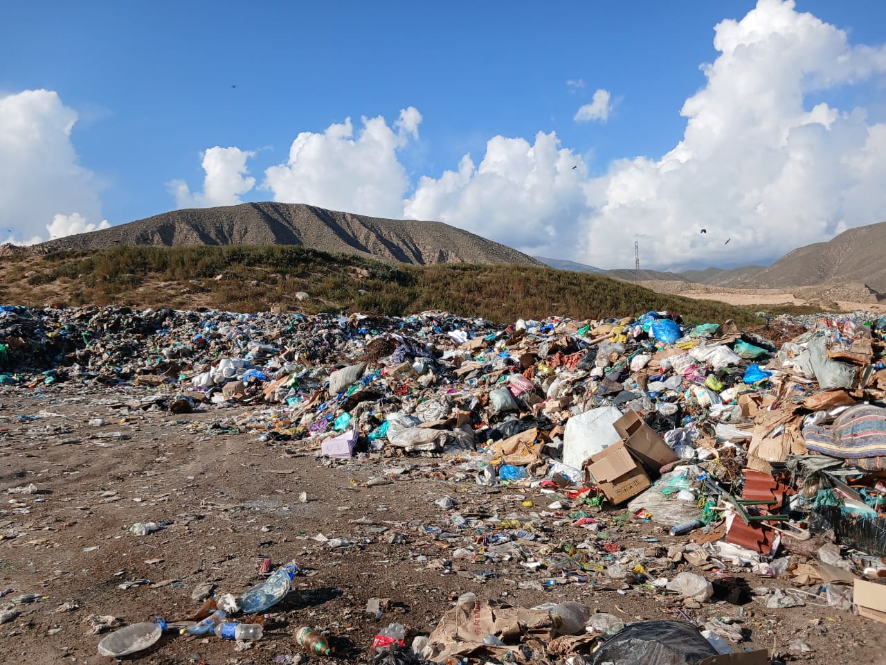 С начала 2026 года в Кыргызстане ликвидировано 93 стихийные свалки