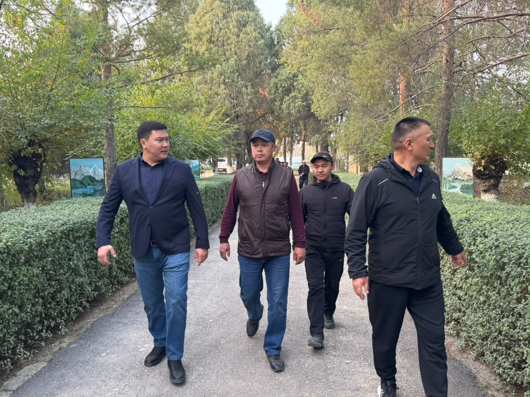 Токойлордо жабык тамыр системасы менен өстүрүлүп жаткан көчөттөргө өзгөчө көңүл бурулат
