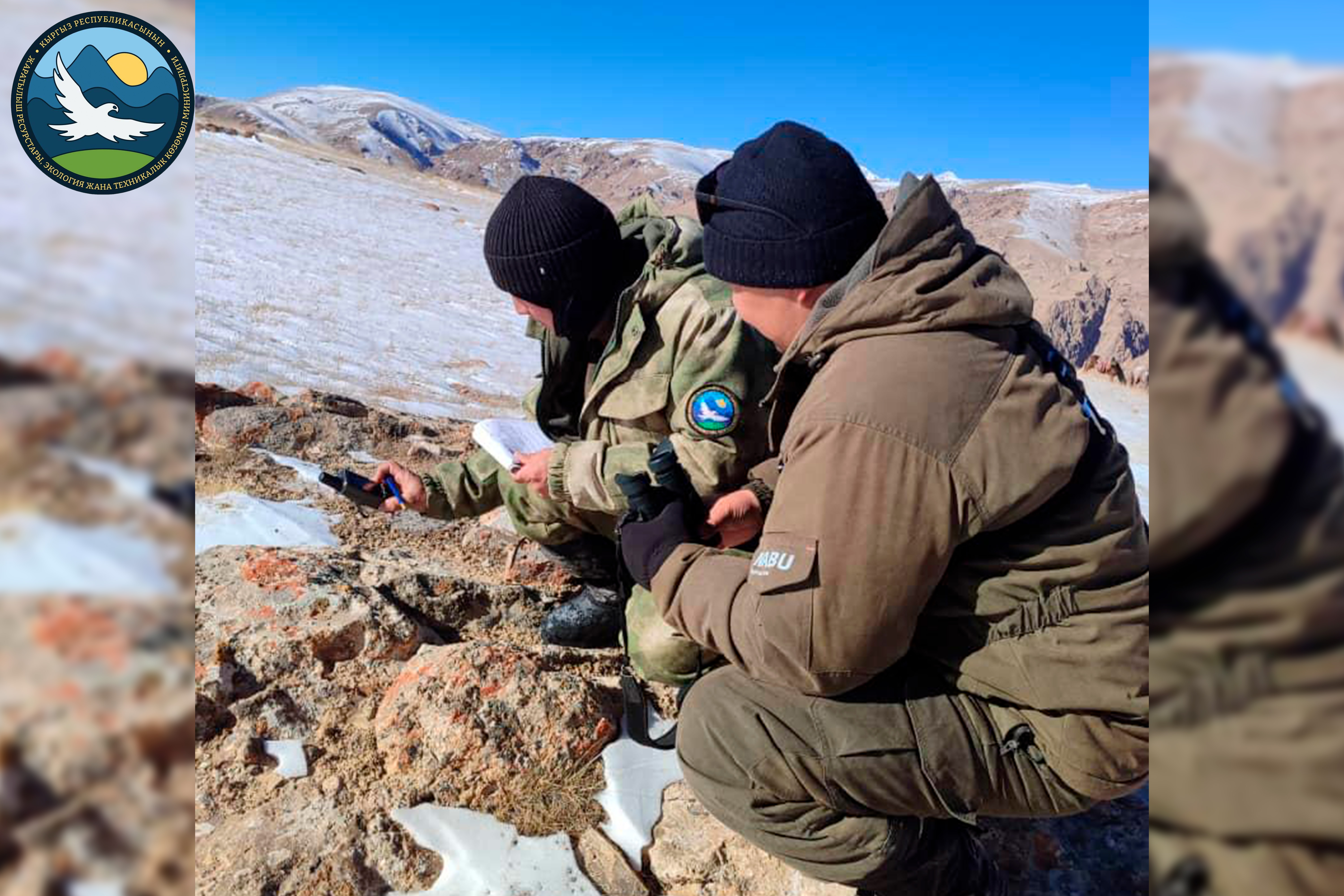 Кыргыз Республикасынын  жаратылыш ресурстары, экология жана техникалык көзөмөл министрлигинин  2023-жылдын 20-сентябрындагы №252-п буйругунун негизинде, Ысык-Көл облусунда жапайы жаныбарлардын санагын  мамлекеттик эсепке алуу боюнча талаа жумуштары жүргүзүлүүдө